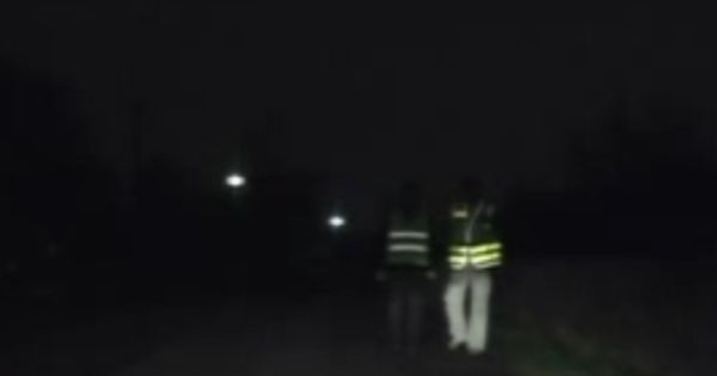 Piesi w kamizelkach