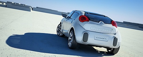 C-Cactus