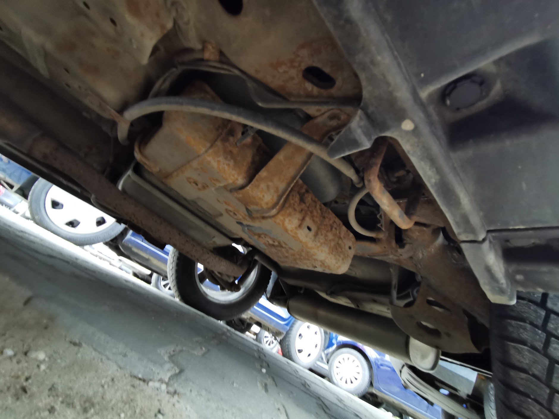 Suzuki SX4 z ogłoszenia