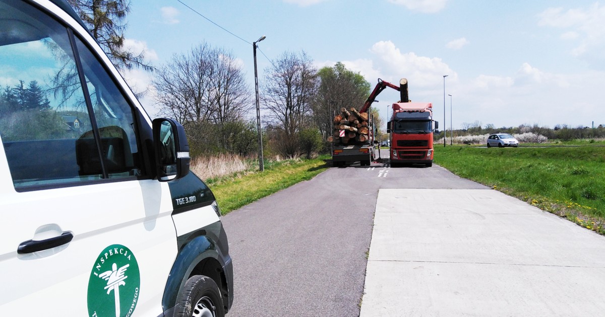 Transport drewna był zbyt ciężki i za wysoki
