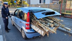 Kierowca Fiata Pandy przesadził. To nie był chrust