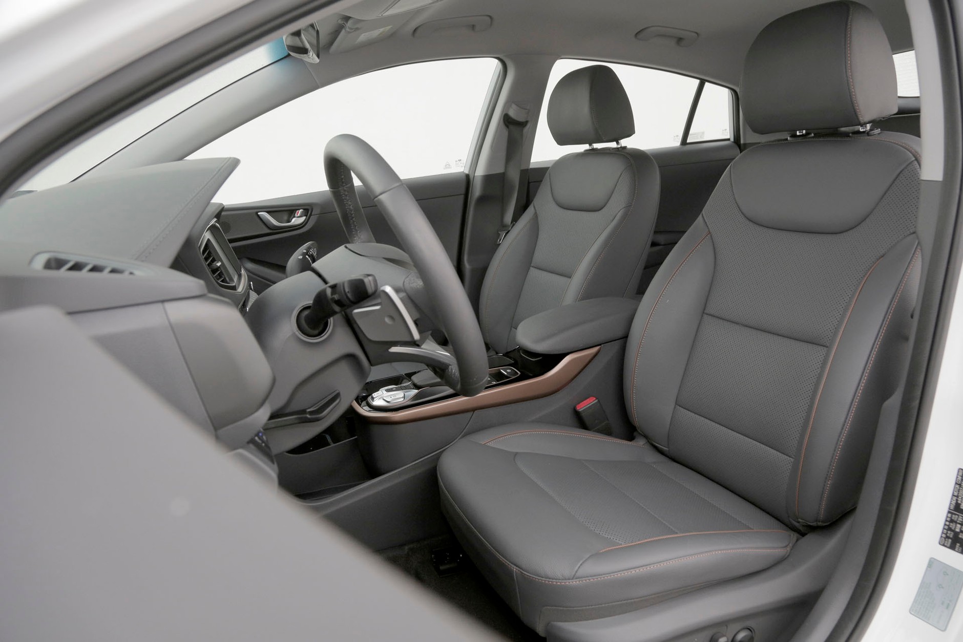 Hyundai Ioniq Electric - elektryk na mrozie