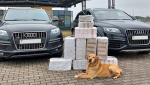 Funkcjonariusze zatrzymali dwa czarne SUV-y z Białorusi. Pies wykrył, co w nich schowano