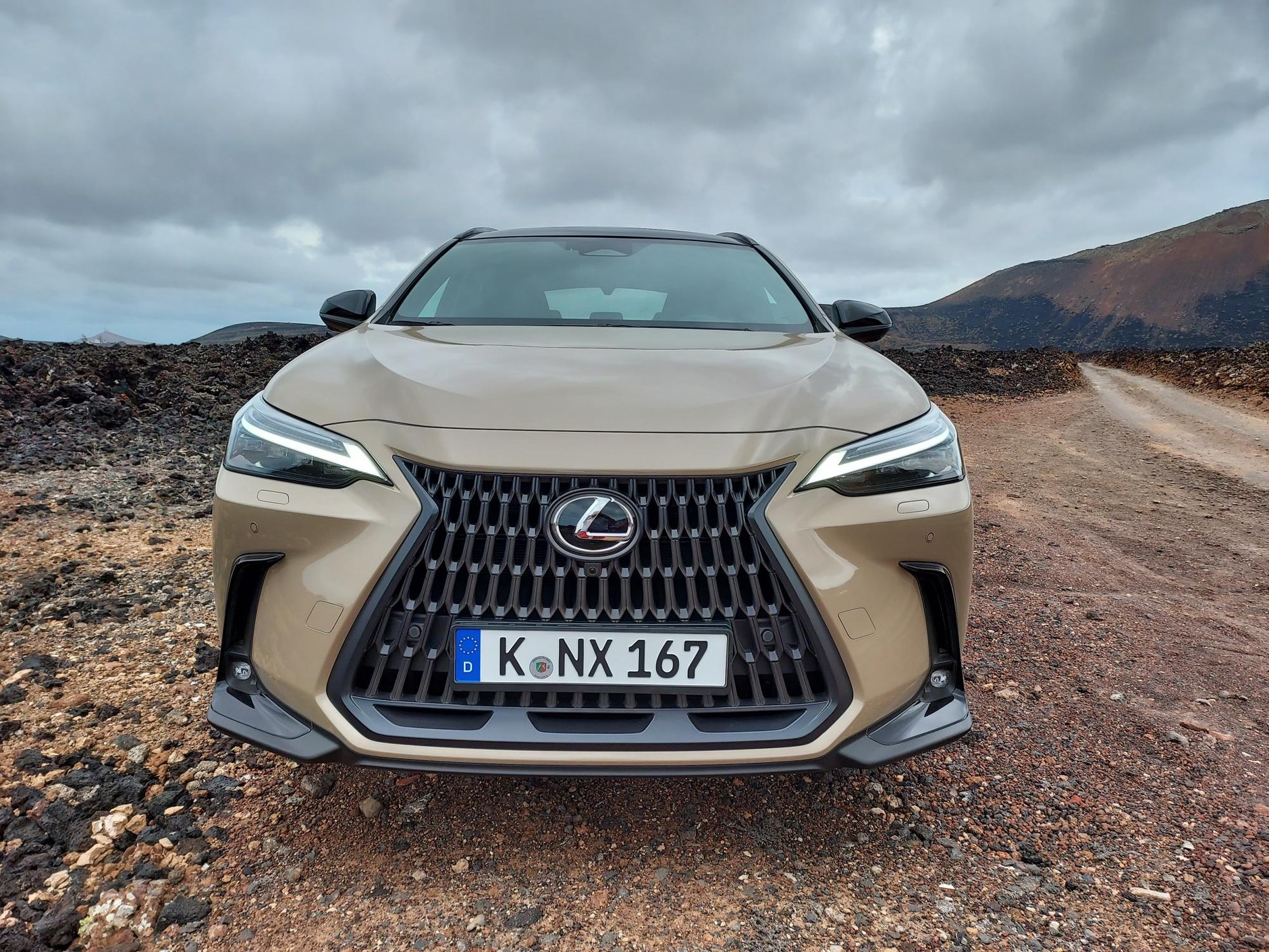 Lexus NX Overtrail