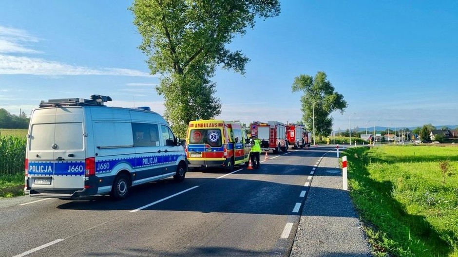 Seicento "wylądowało" w rowie. Za kierownicą "siedział" kot