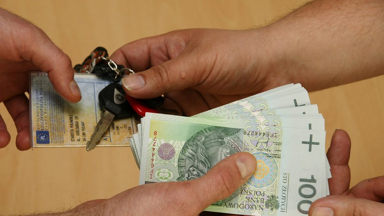 Kierowca, czyli dojna krowa