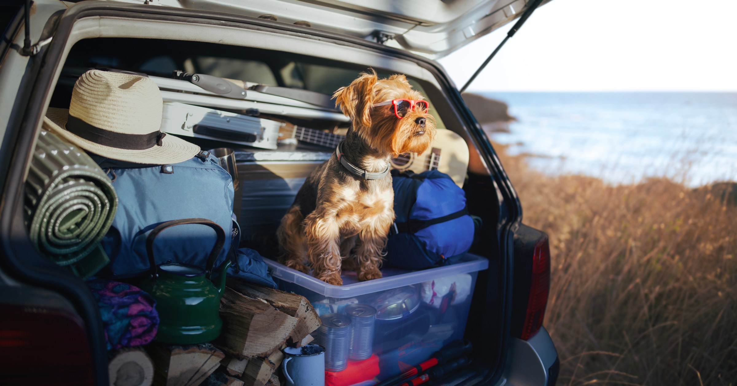 Pakowanie na wyjazd może być wyzwaniem. Pomaga odpowiednia organizacja