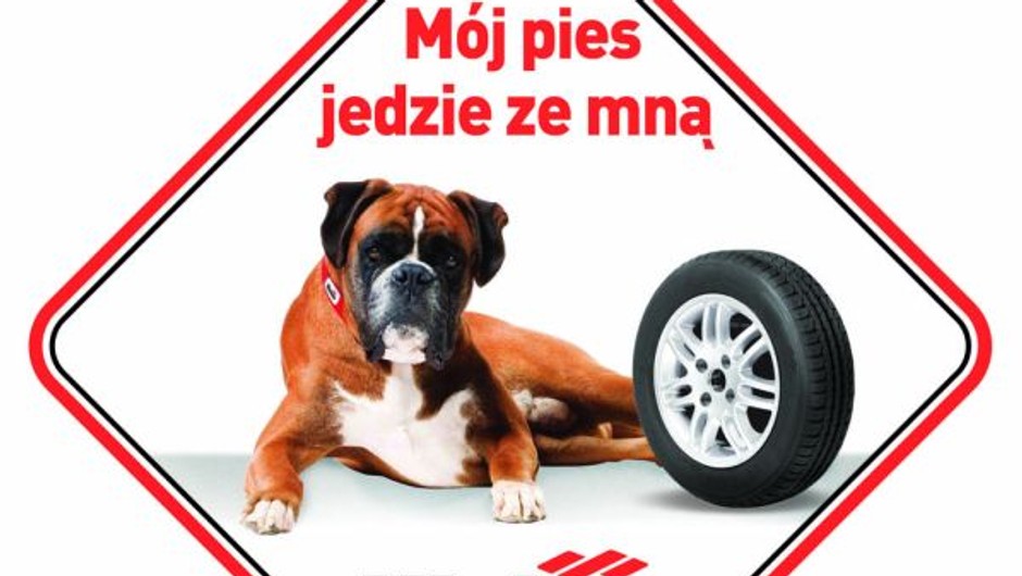 Transport psa