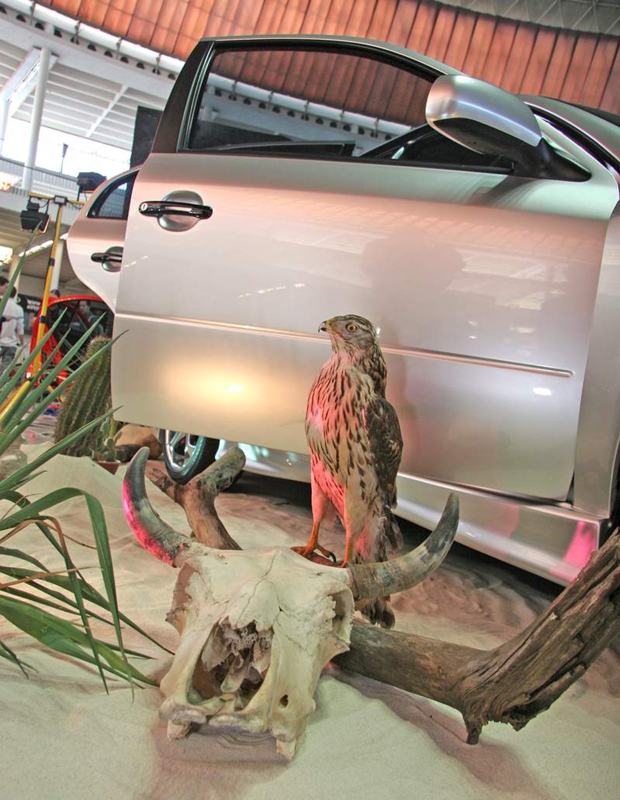 Tuning Salon Brno 2008:  fotogaleria