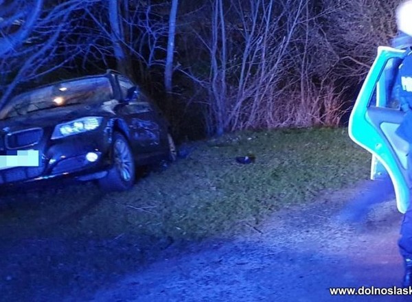 Potrącił policjantkę, staranował radiowóz i omal nie wpadł do rzeki