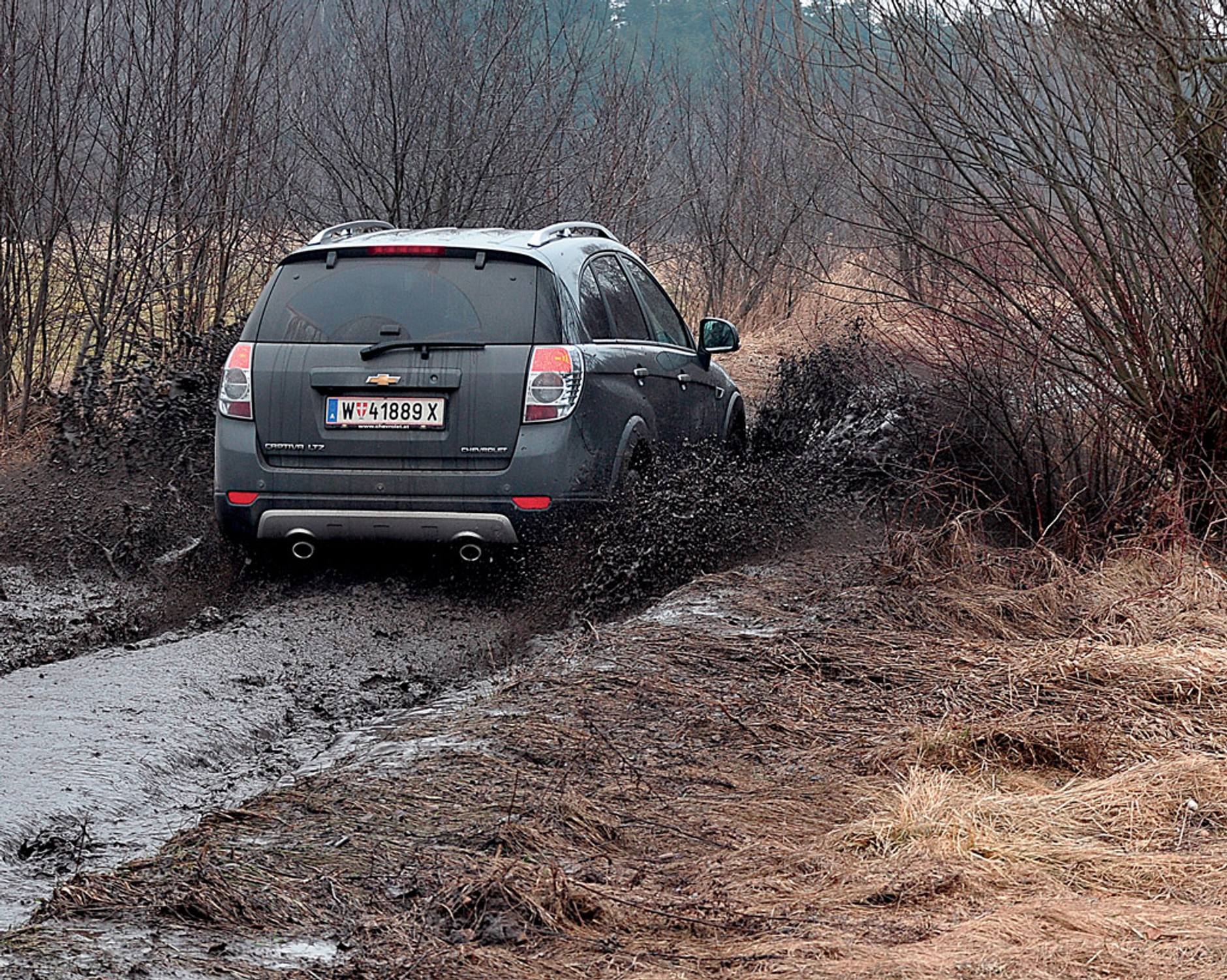 W poszukiwaniu spokoju z puszczy Bolimowskiej do Radziejowic
