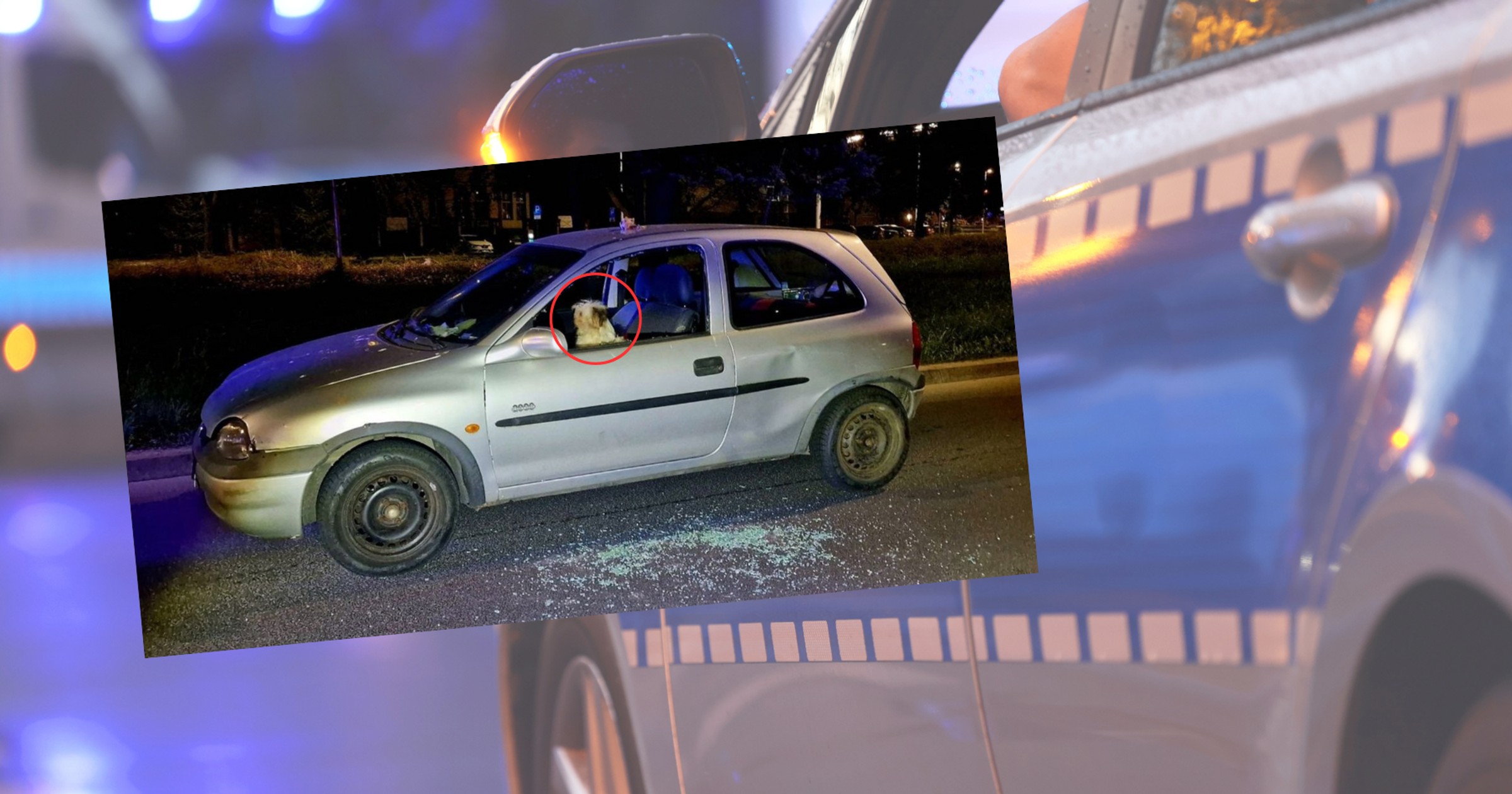 Decyzja 59-latki nie była rozsądna (fot. screen z koszalin.policja.gov.pl)