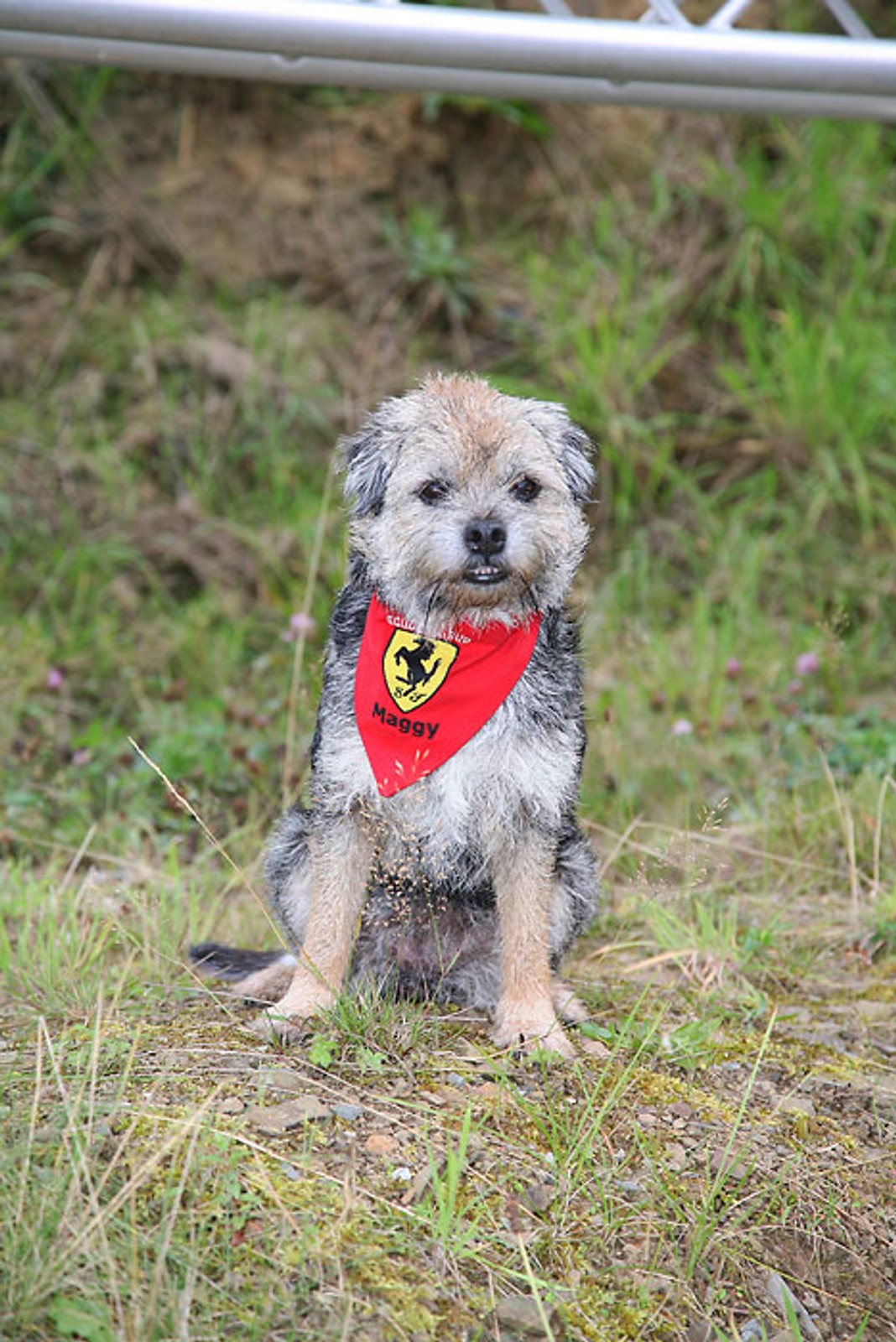 80 Ferrari, 1 miasto, multum wrażeń