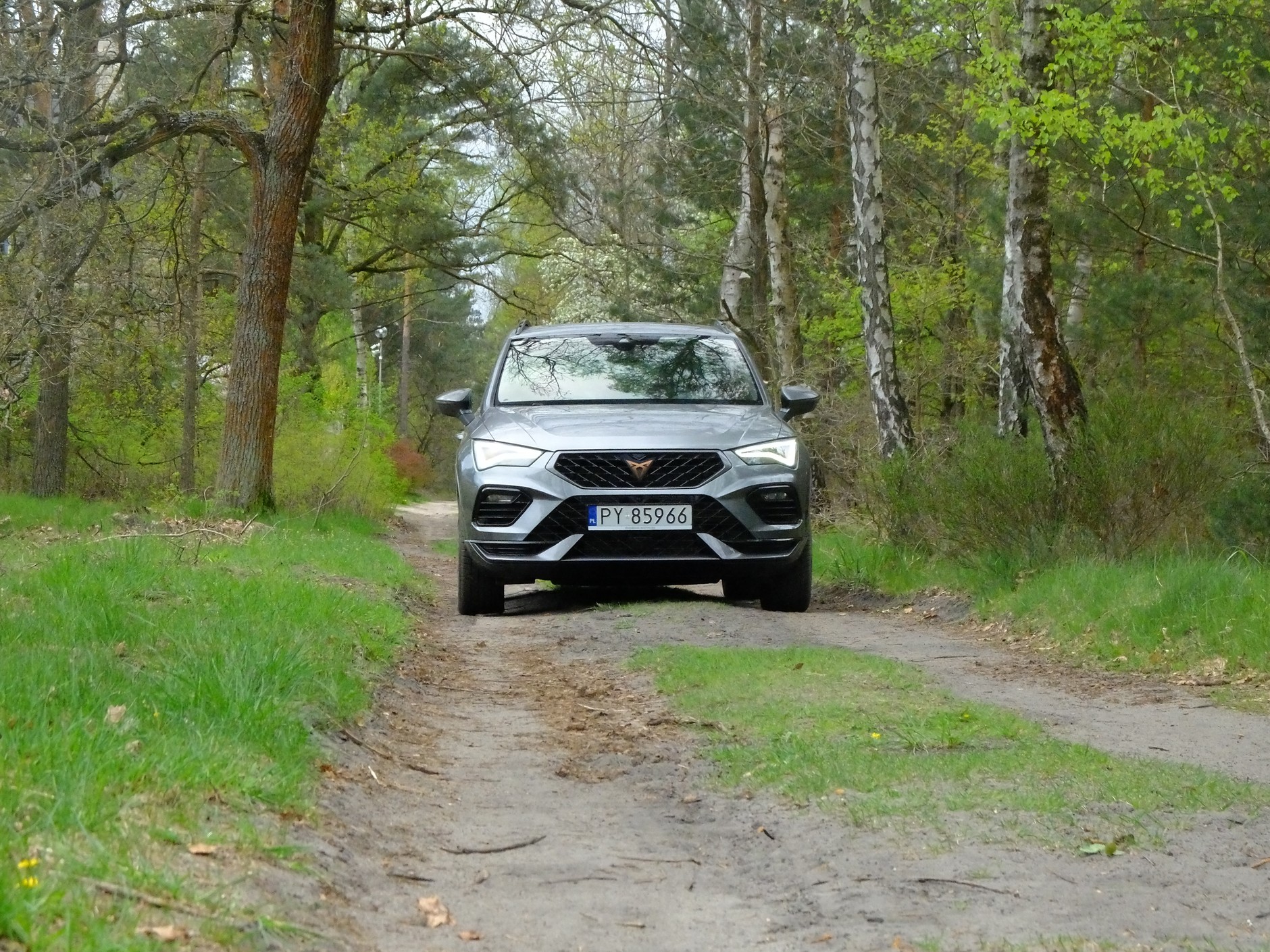 Cupra Ateca 2.0 TSI/190 KM 4x4