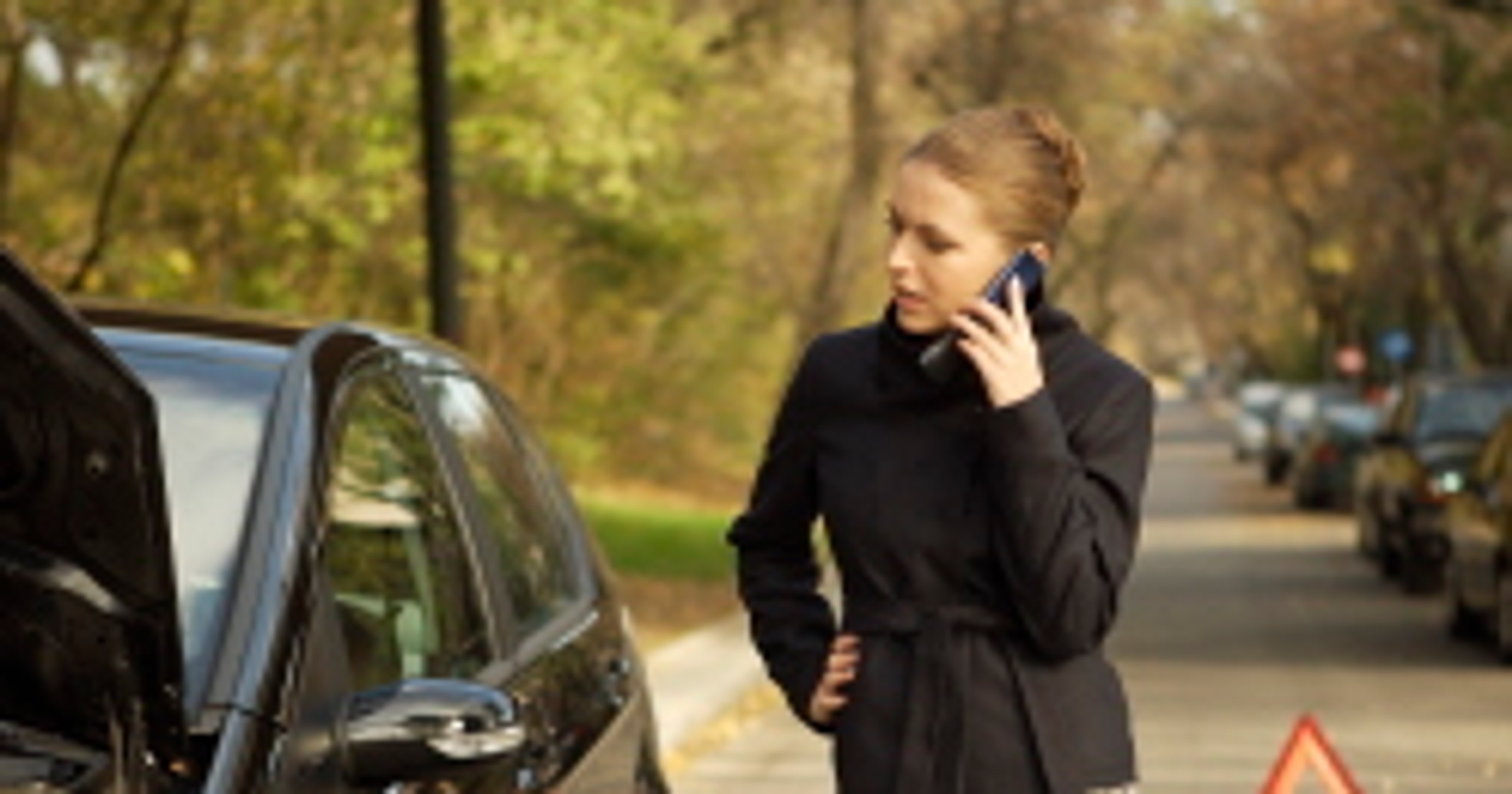 GPS: Navi-Guide - funkcja assistance w komórce
