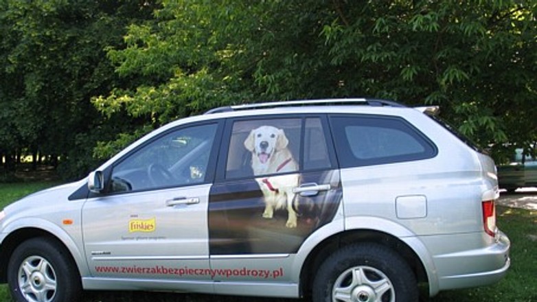 Ssangyong partnerem akcji "Zwierzak bezpieczny w podróży"