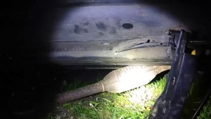 Policjanci złapali na gorącym uczynku złodziei wycinających katalizator. Nagranie z interwencji