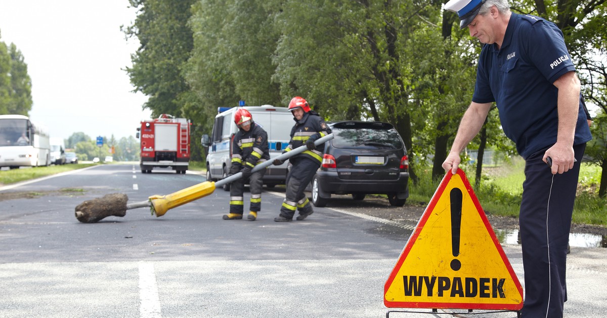 wypadek