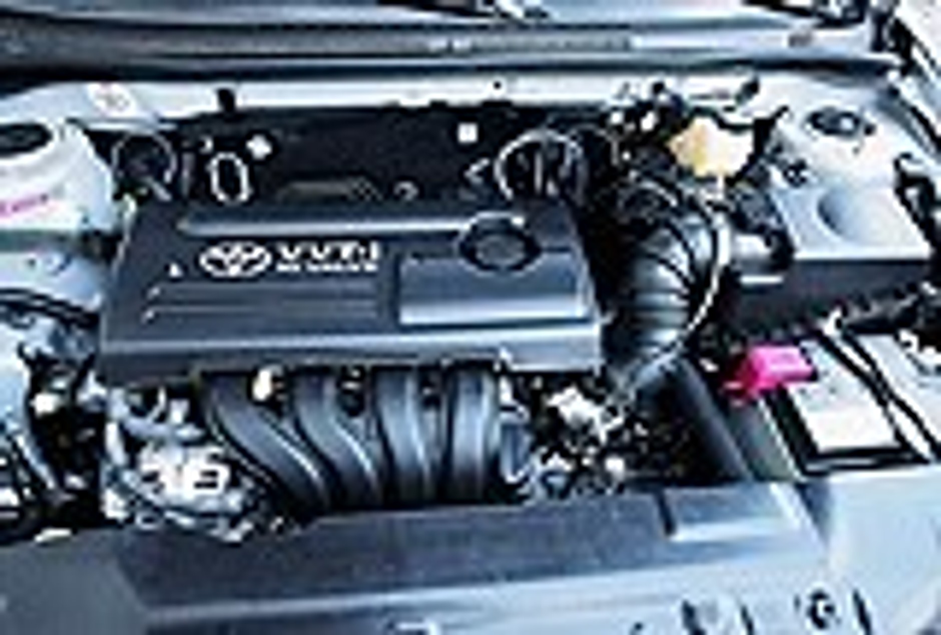 W pogoni za wielkością