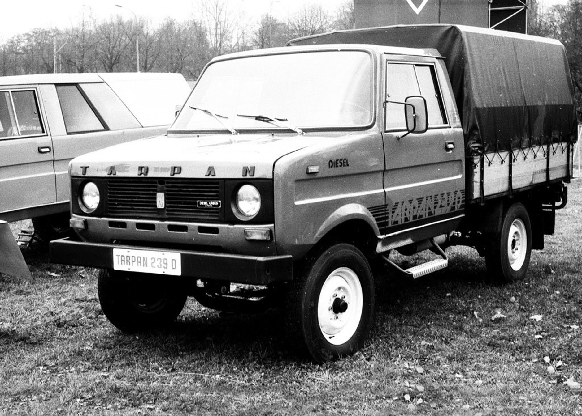 Historia powstania Tarpana