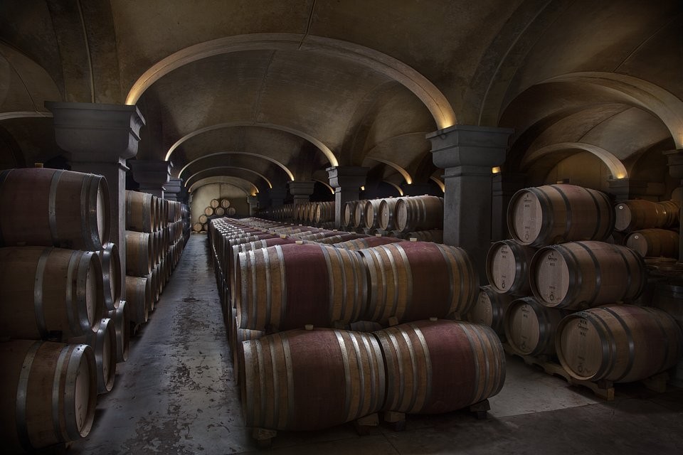 Charakterystyczne beczki winnicy Tignanello
