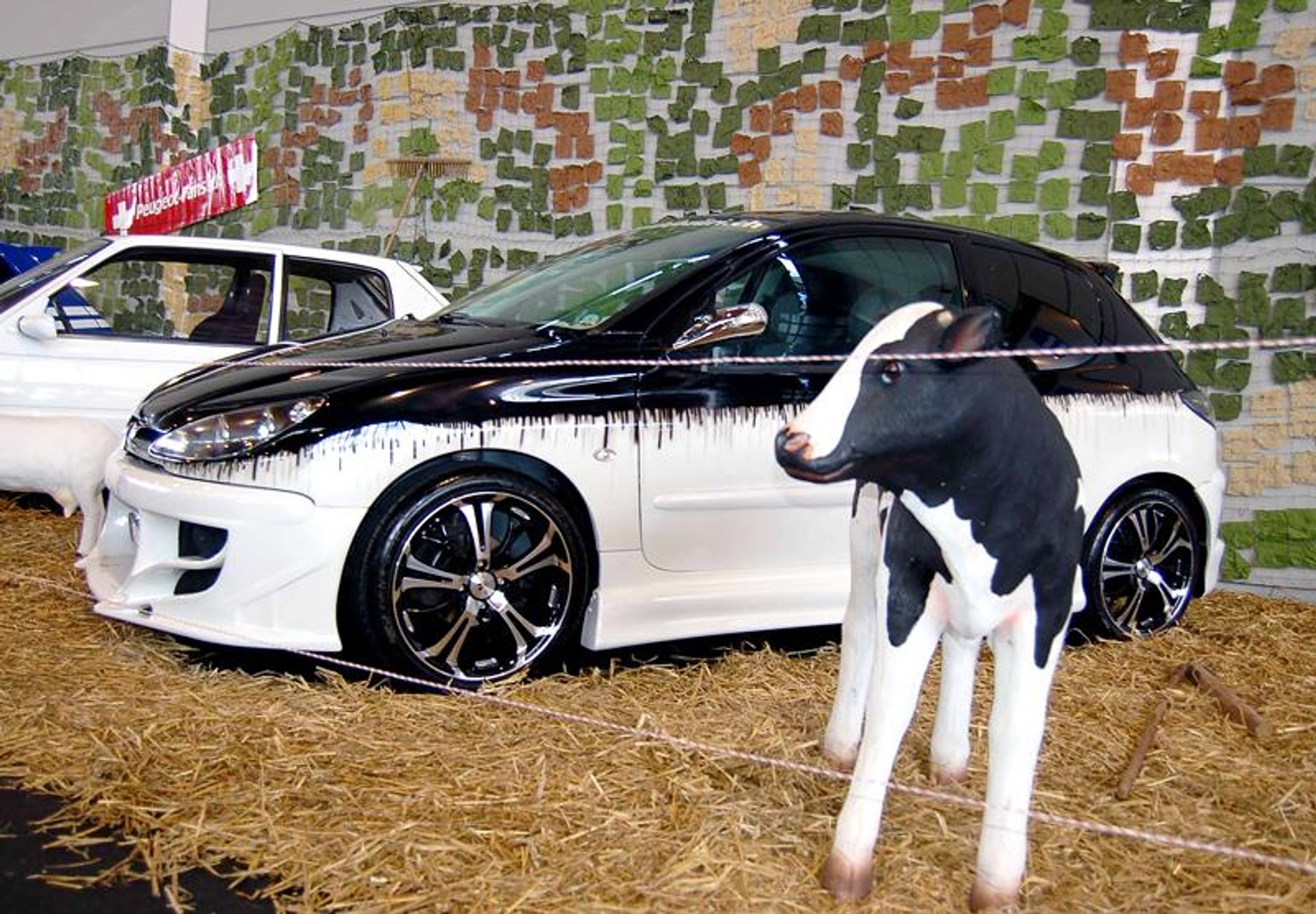 Tuning World Bodensee 2008: Golfy, drifting i dziewczyny -  fotogaleria (2)