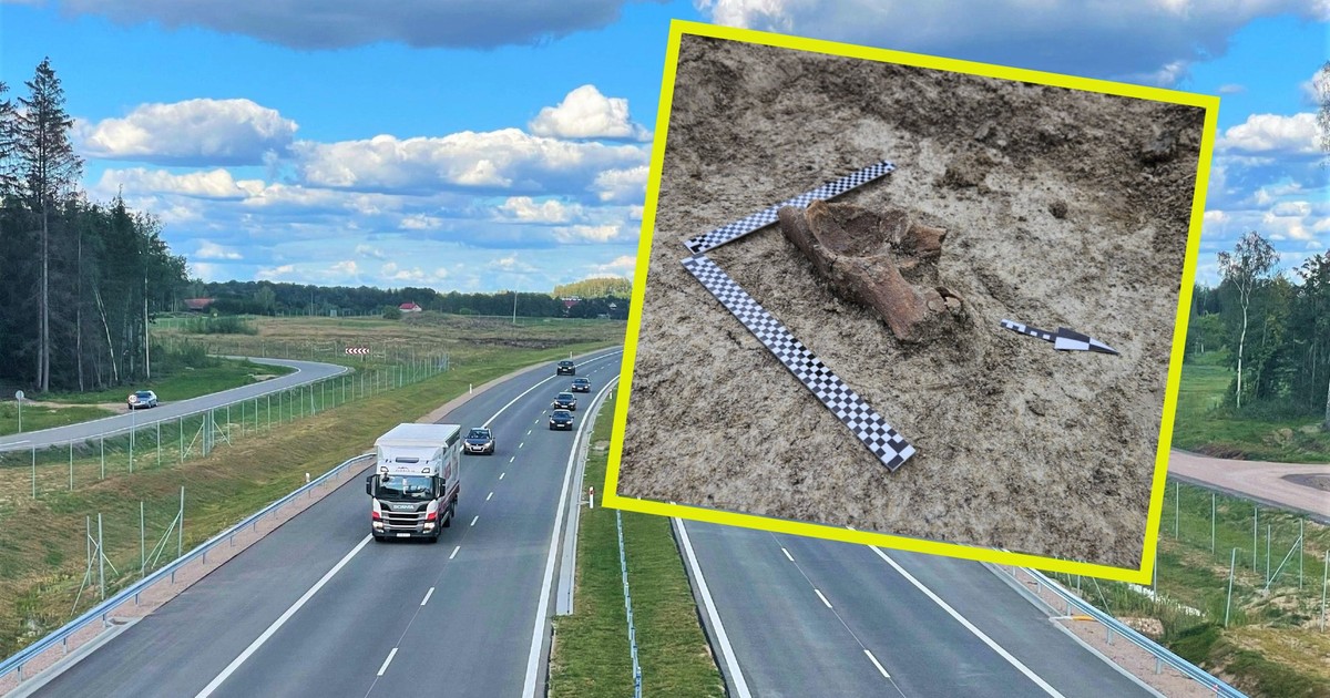 Znalezisko na S17