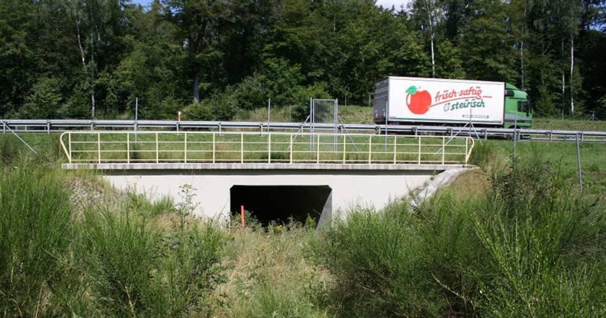 Jezdnia kontra opady deszczu - Gdzie trafia woda z drogi?