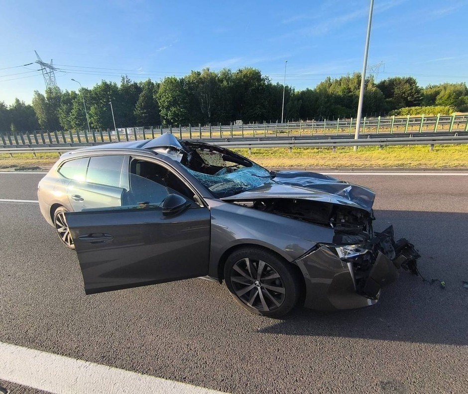 Osobowy peugeot po zderzeniu z łosiem