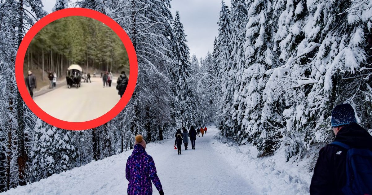 Wściekła się w drodze nad Morskie Oko.  "To totalny absurd" (screen: TikTok/@piatekpiatunio87)