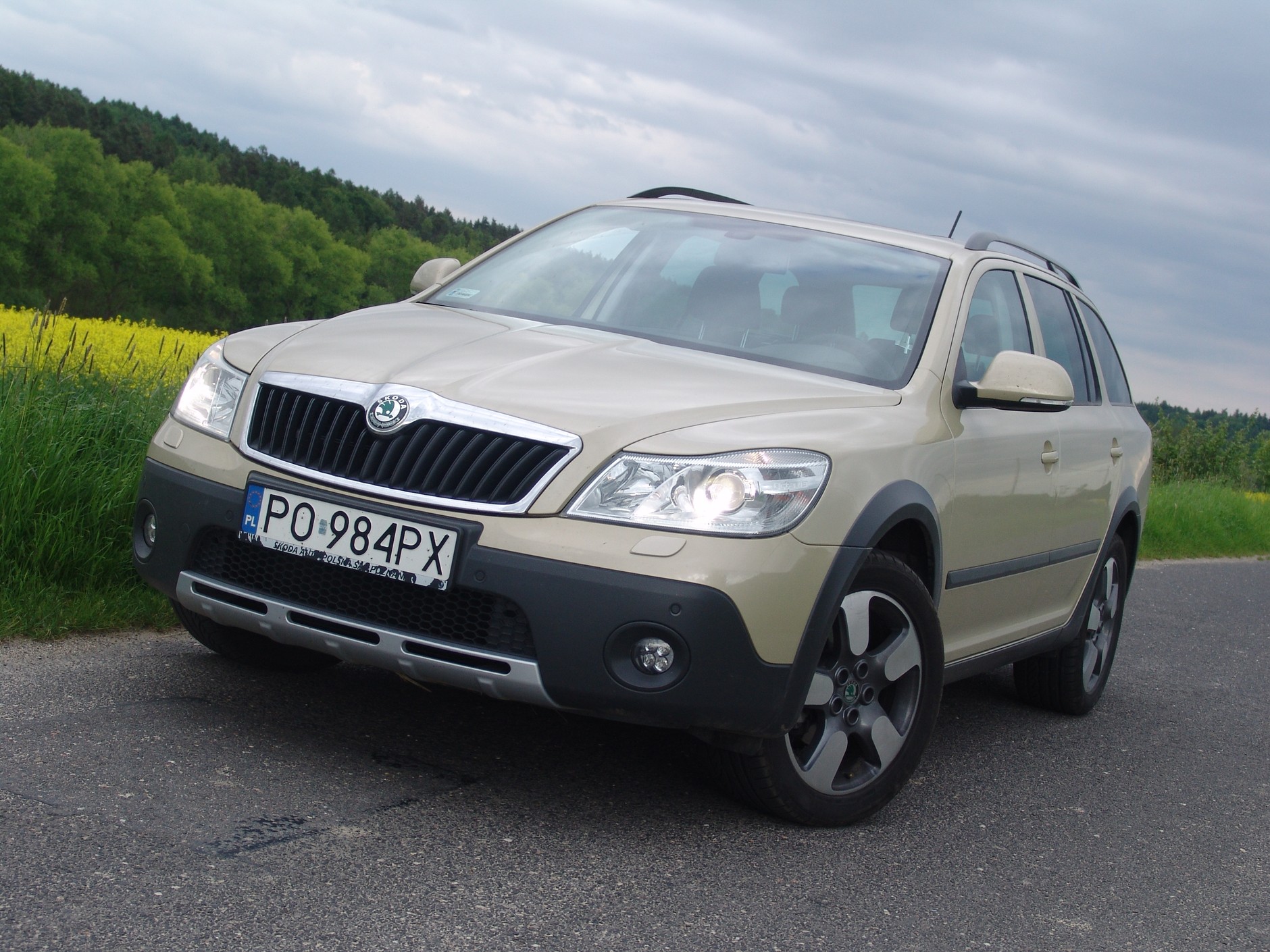 Czy ta Octavia jest dla skauta?