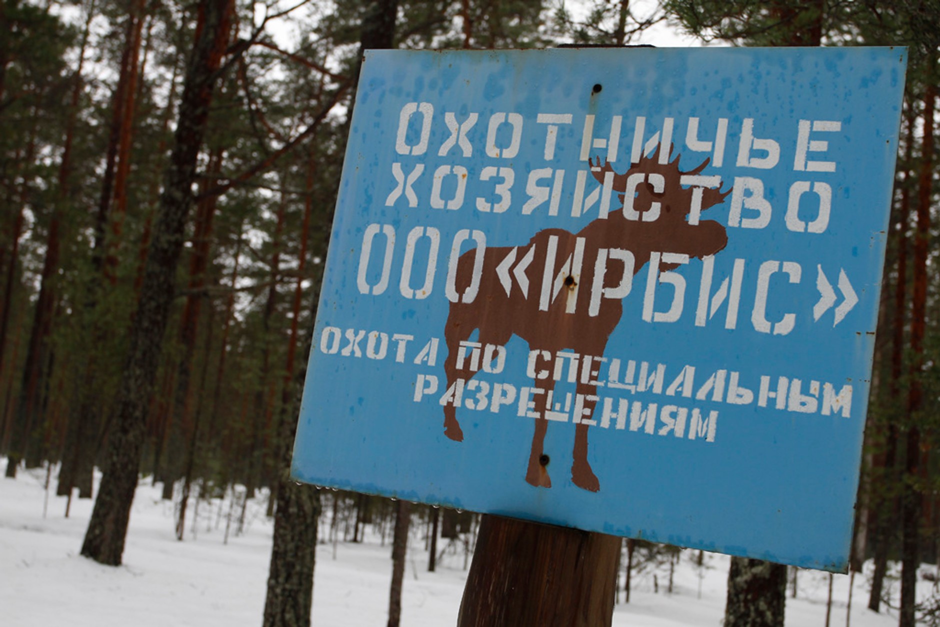 Baja Russia | Cross Country na kolcach