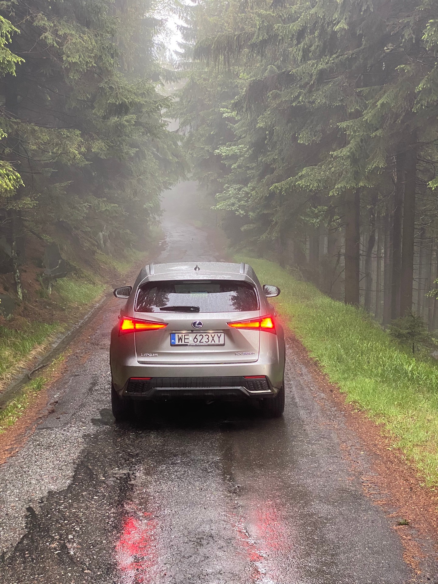 Mgła jest niemal stałym elementem krajobrazu Parku Narodowego Gór Stołowych. NX prezentuje się w niej jeszcze ciekawiej.