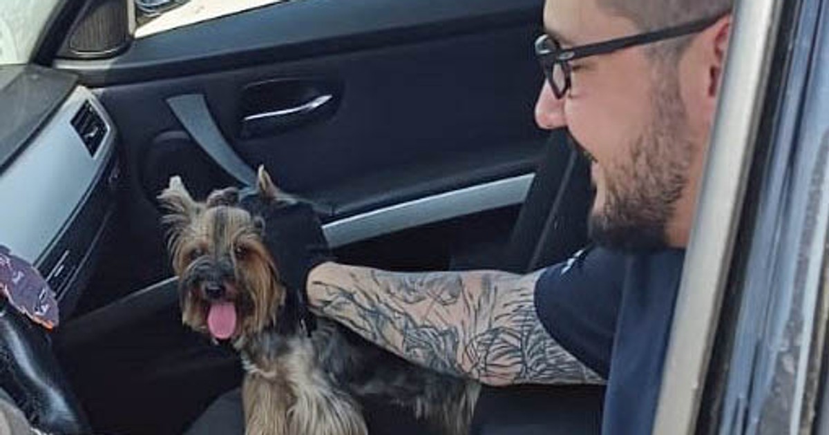 Policjanci dostali zgłoszenie o psie zamkniętym w upał w BMW. Właściciele poszli do parku wodnego 