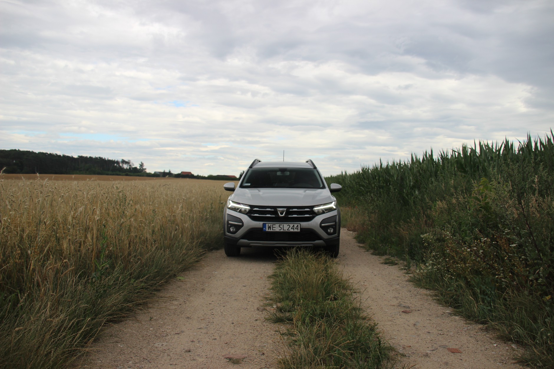 Dacia wśród pól? Takich miejsc przy drodze krajowej jest pełno