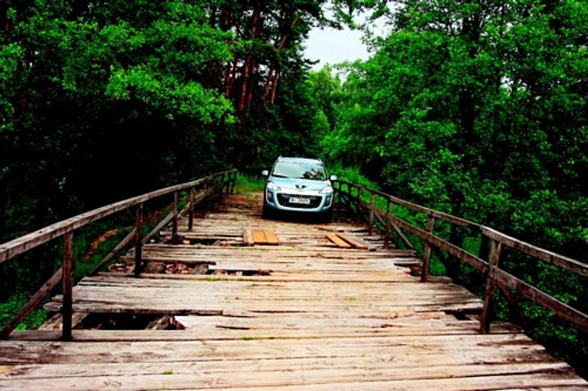 Turystyka - Lasy Janowskie z Peugeotem 4007