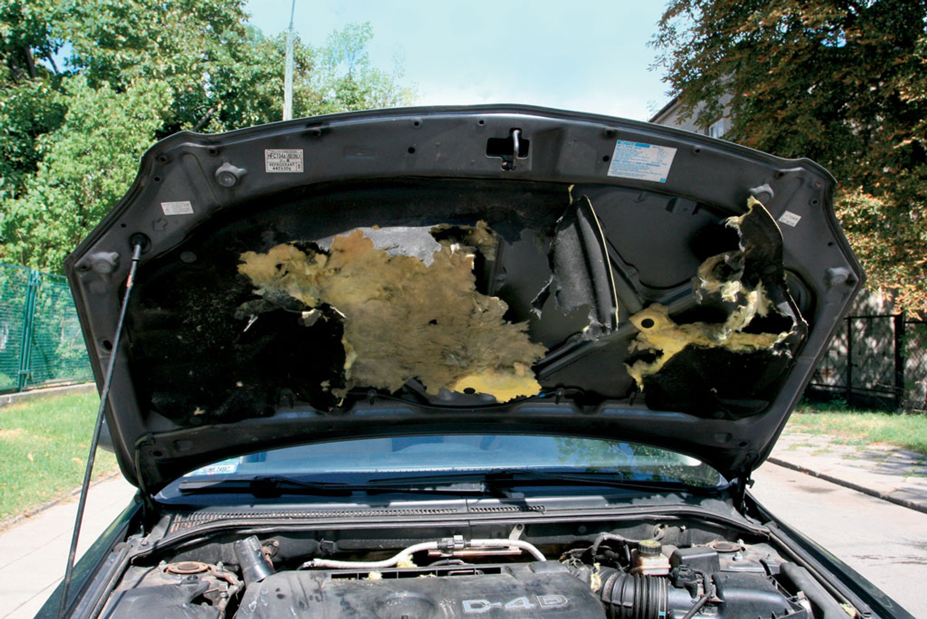 Jeśli kuna dostanie się pod maskę, może zniszczyć wszystko, co jest w zasięgu jej zębów: od wygłuszeń po przewody.