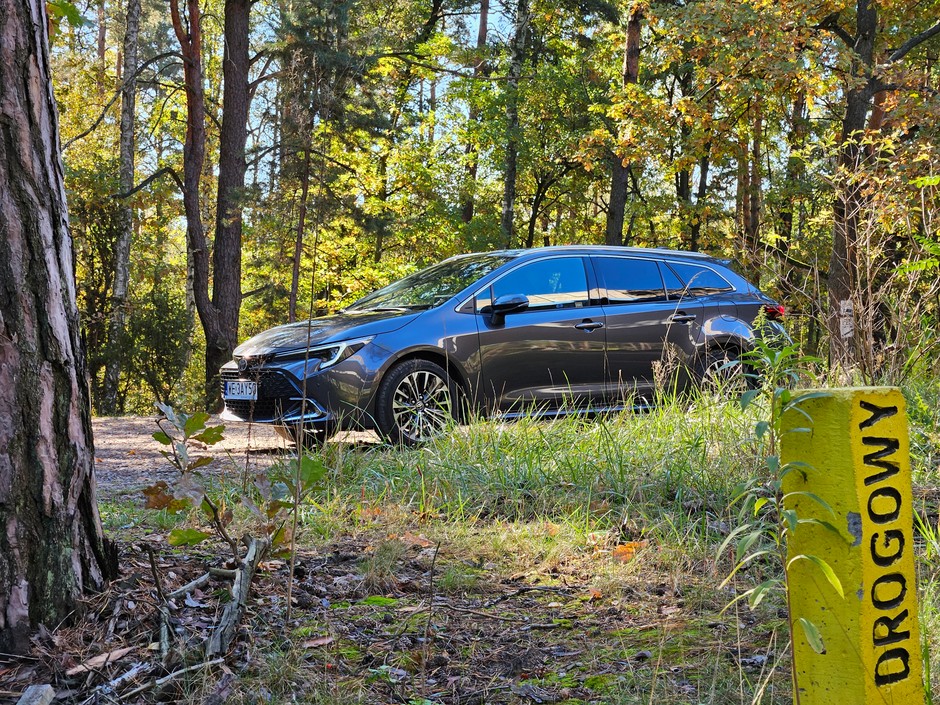 Toyota Corolla TS