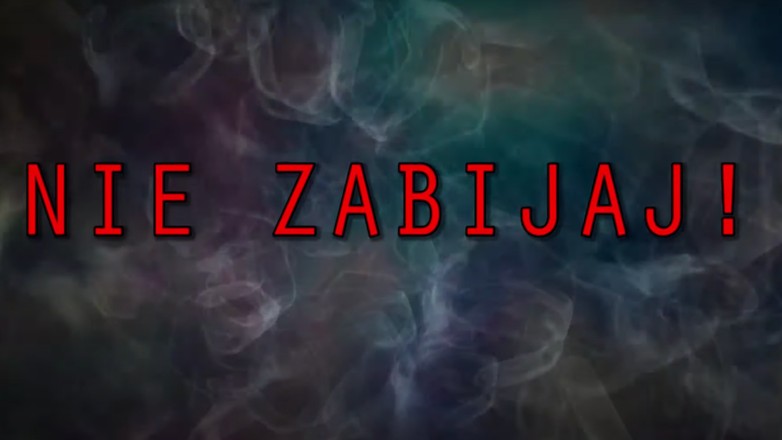 Kompilacja wypadków Lubuskiej Policji