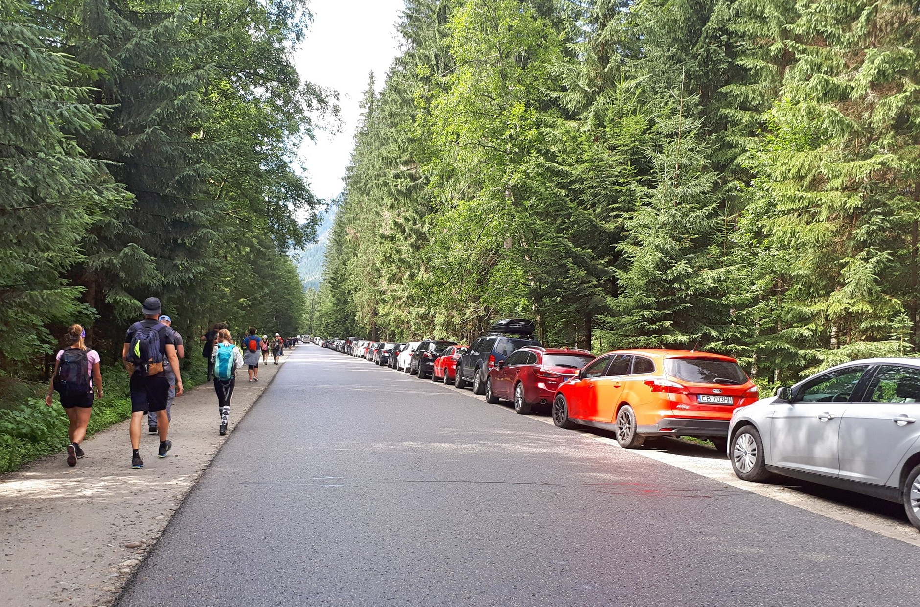 Kolejka zaparkowanych samochodów w Palenicy Białczańskiej