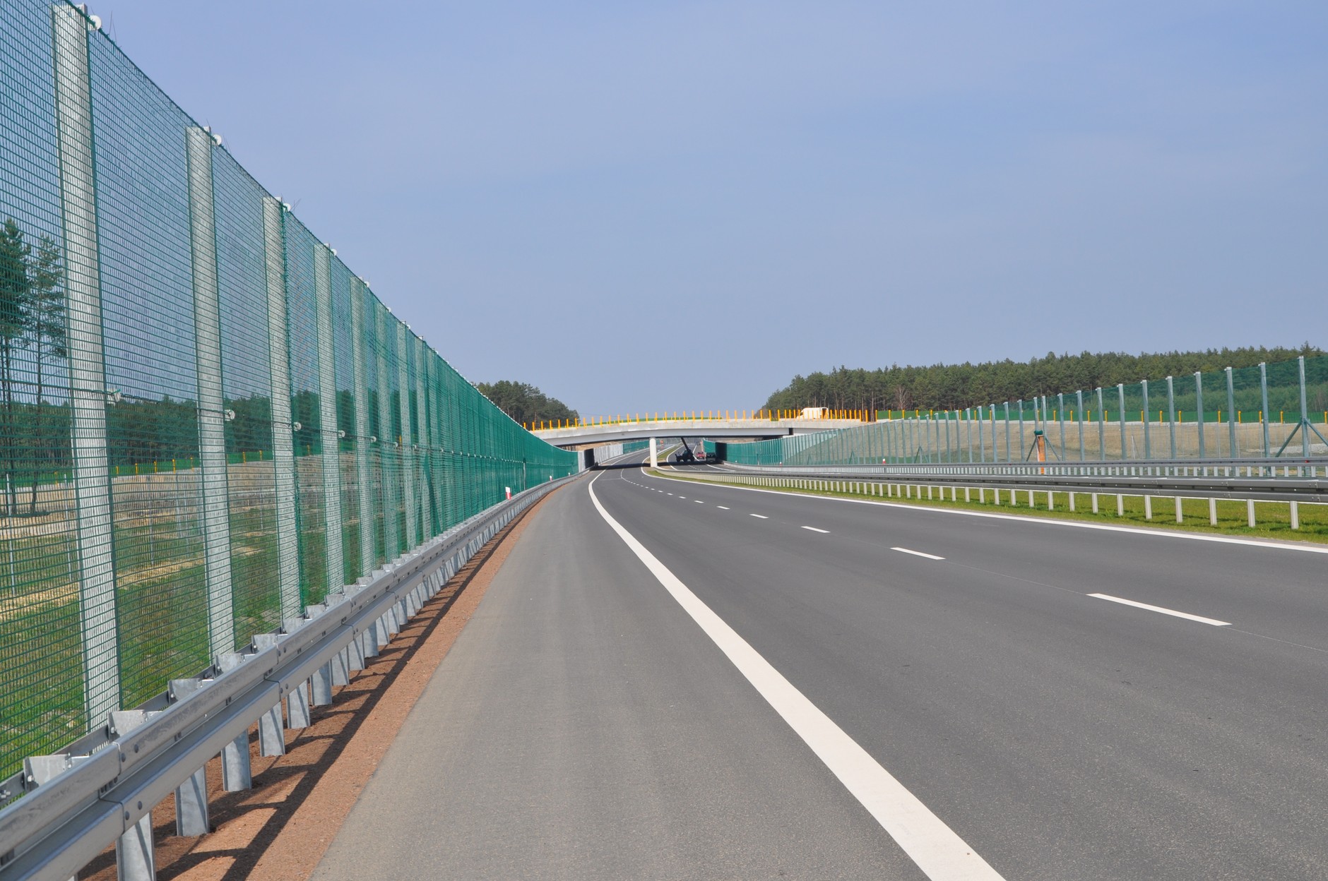 Siatki dla nietoperzy przy drodze S3 w woj. lubuskim