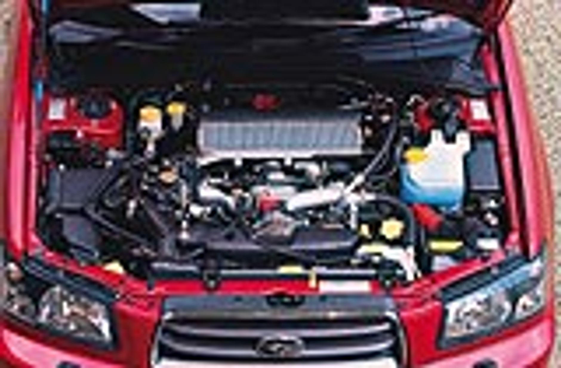 Podbijanie nowej ziemi