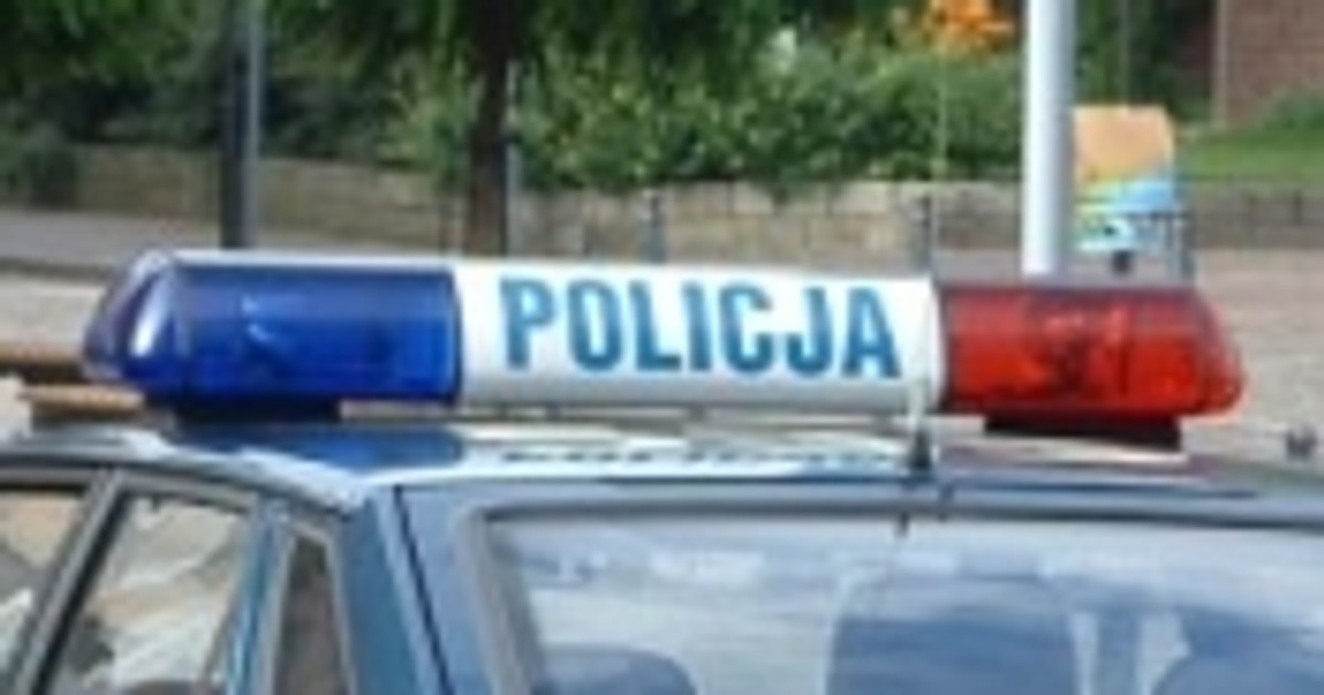 Kup sobie policyjnego Poloneza