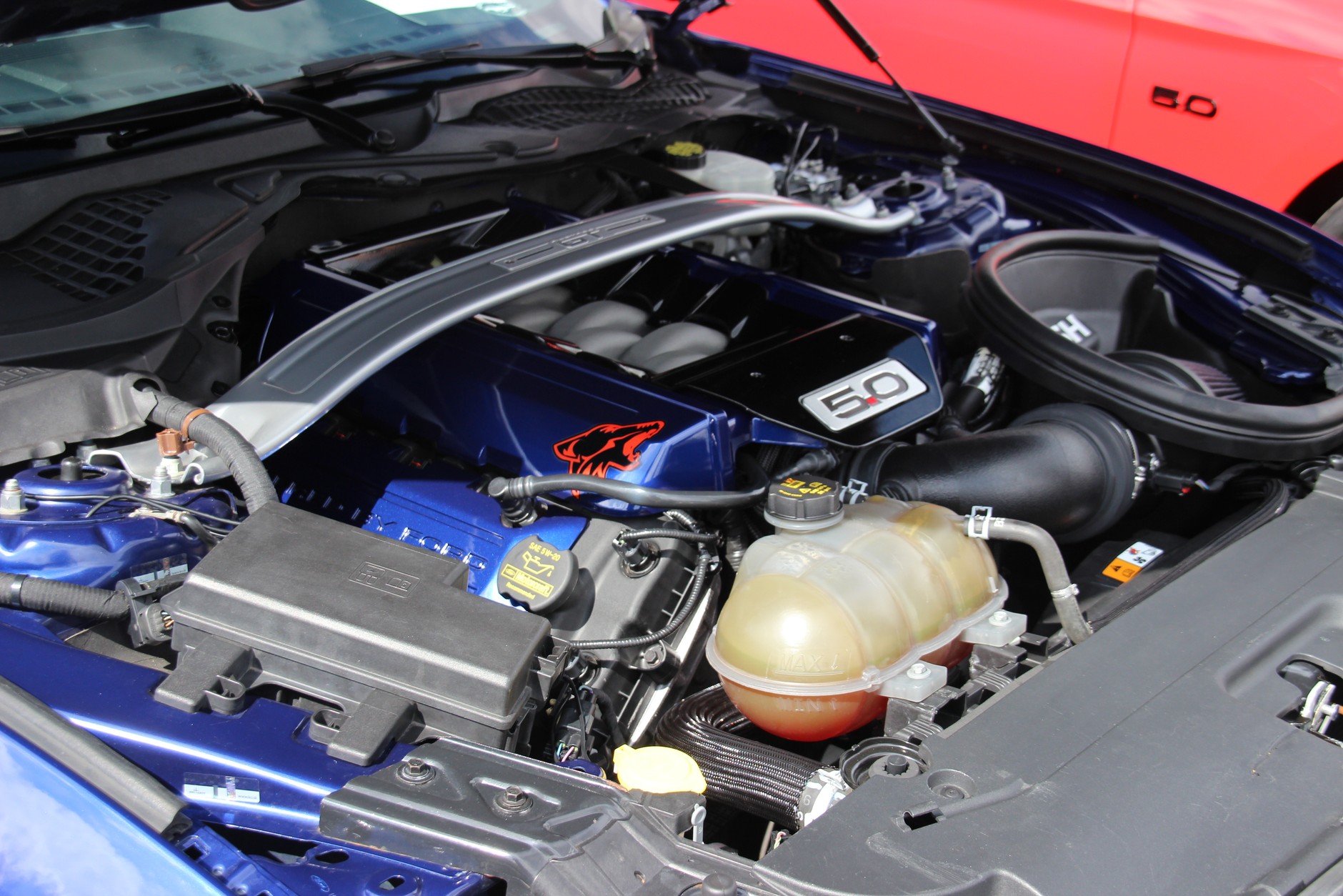 XV Ogólnopolski Zlot Mustangów