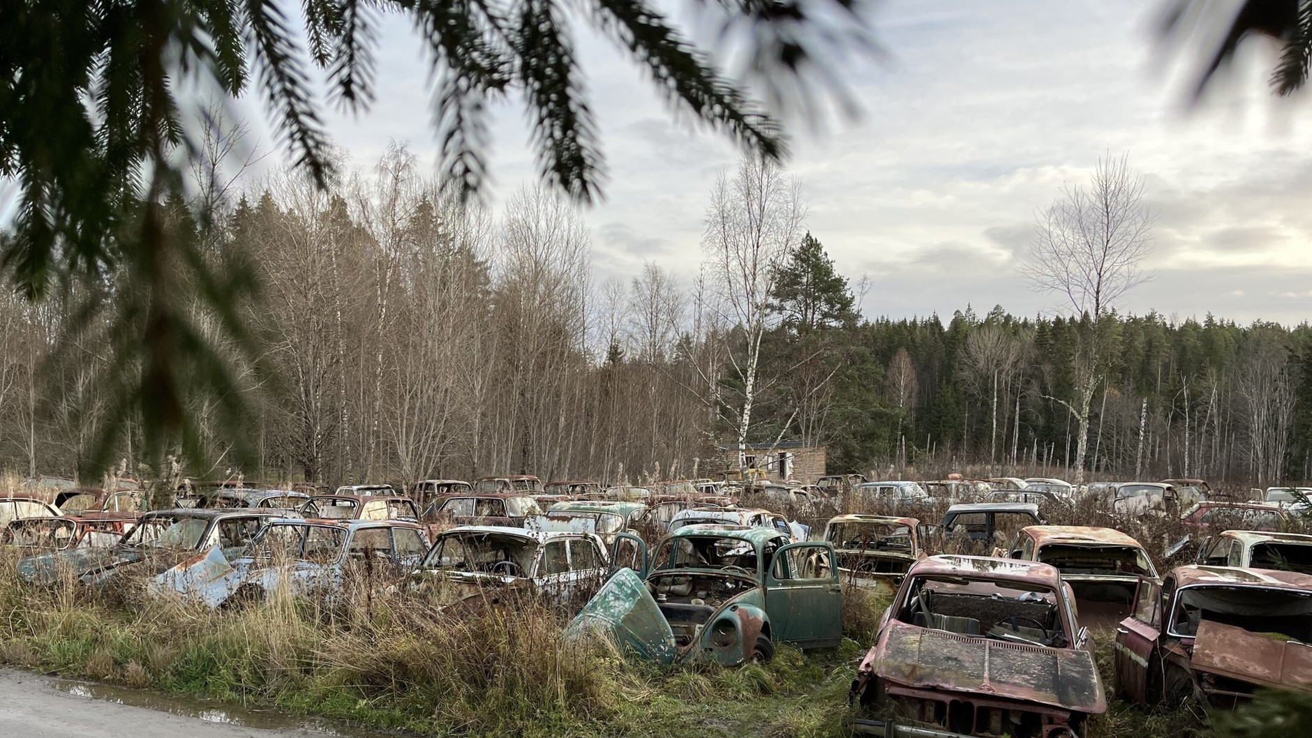 Cmentarzysko samochodów w Bastnas w Szwecji
