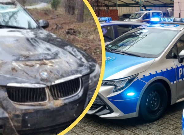 Nastolatka dachowała BMW. Kupiła je kilkadziesiąt minut wcześniej