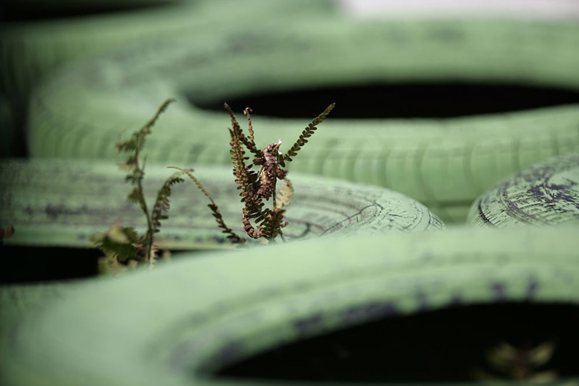Grand Prix Niemiec 2008:Jiři Křenek i jego fotogaleria