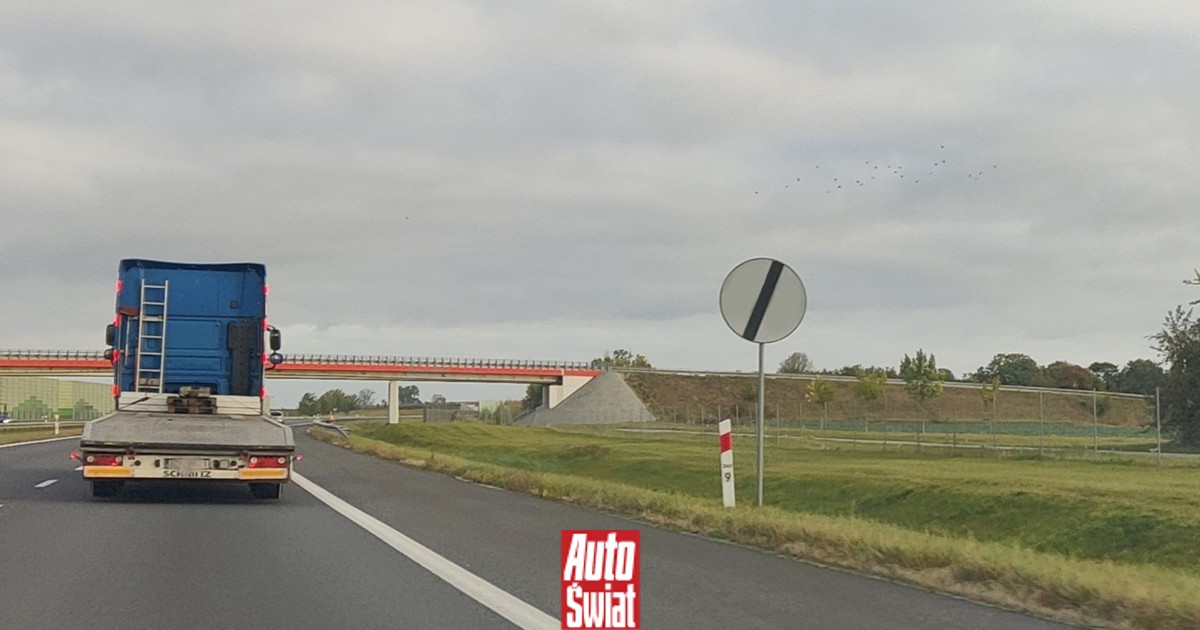 Biały znak B-42 wyróżnia się na polskich drogach. To podstępny zakaz