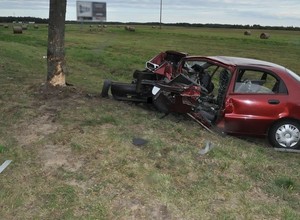 Daewoo zmiażdżone po uderzeniu w drzewo – czy stare auta są niebezpieczne?