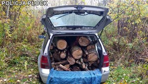 Napakował drewna do samochodu. Wpadł na gorącym uczynku